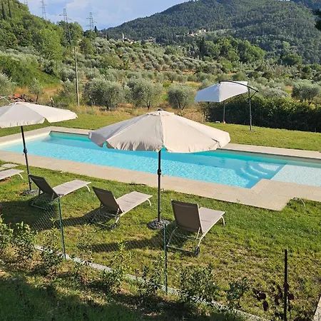 Agriturismo Verde Oliva-3